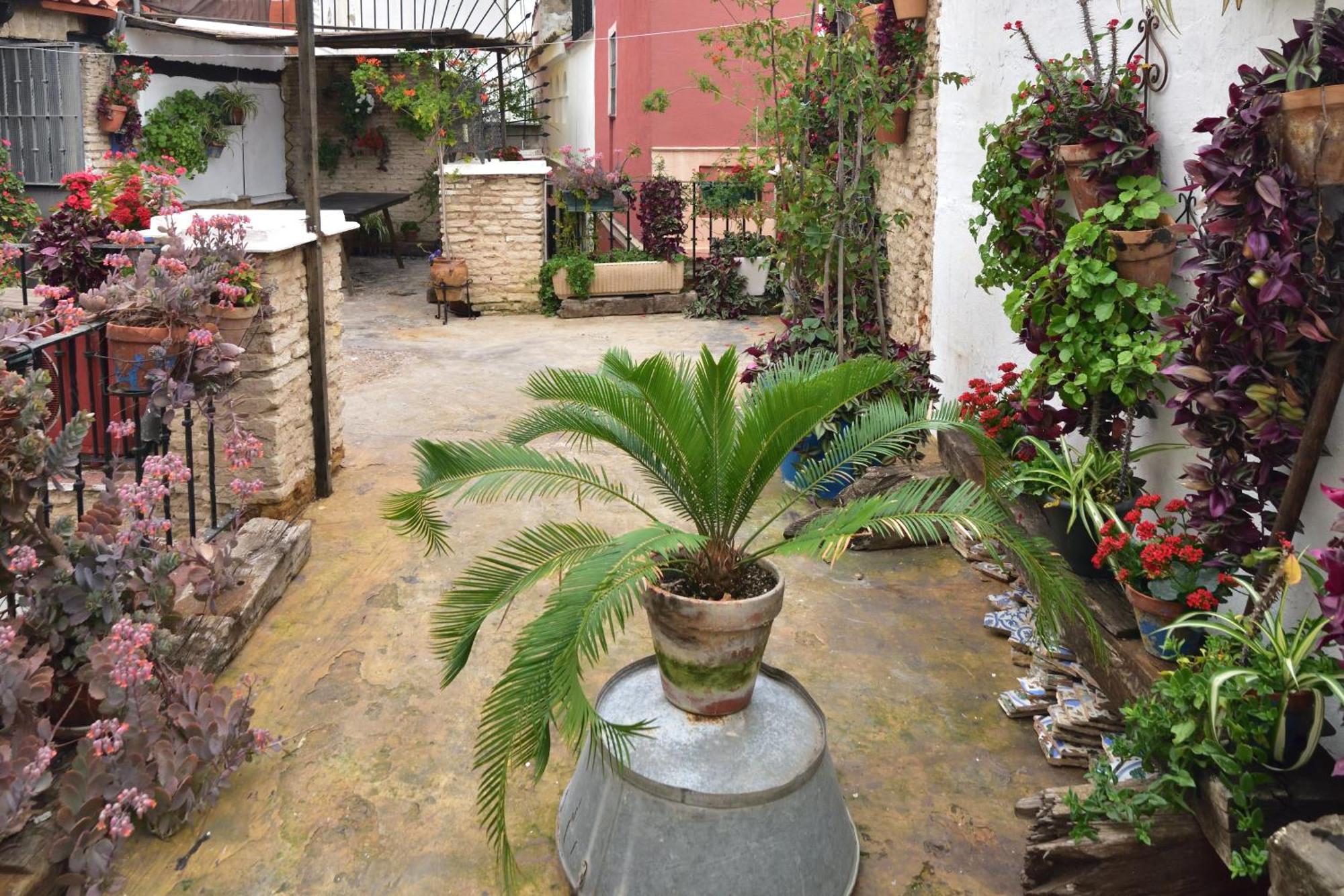 Casa Tenorio Barrio De Santa Cruz Siviglia Esterno foto