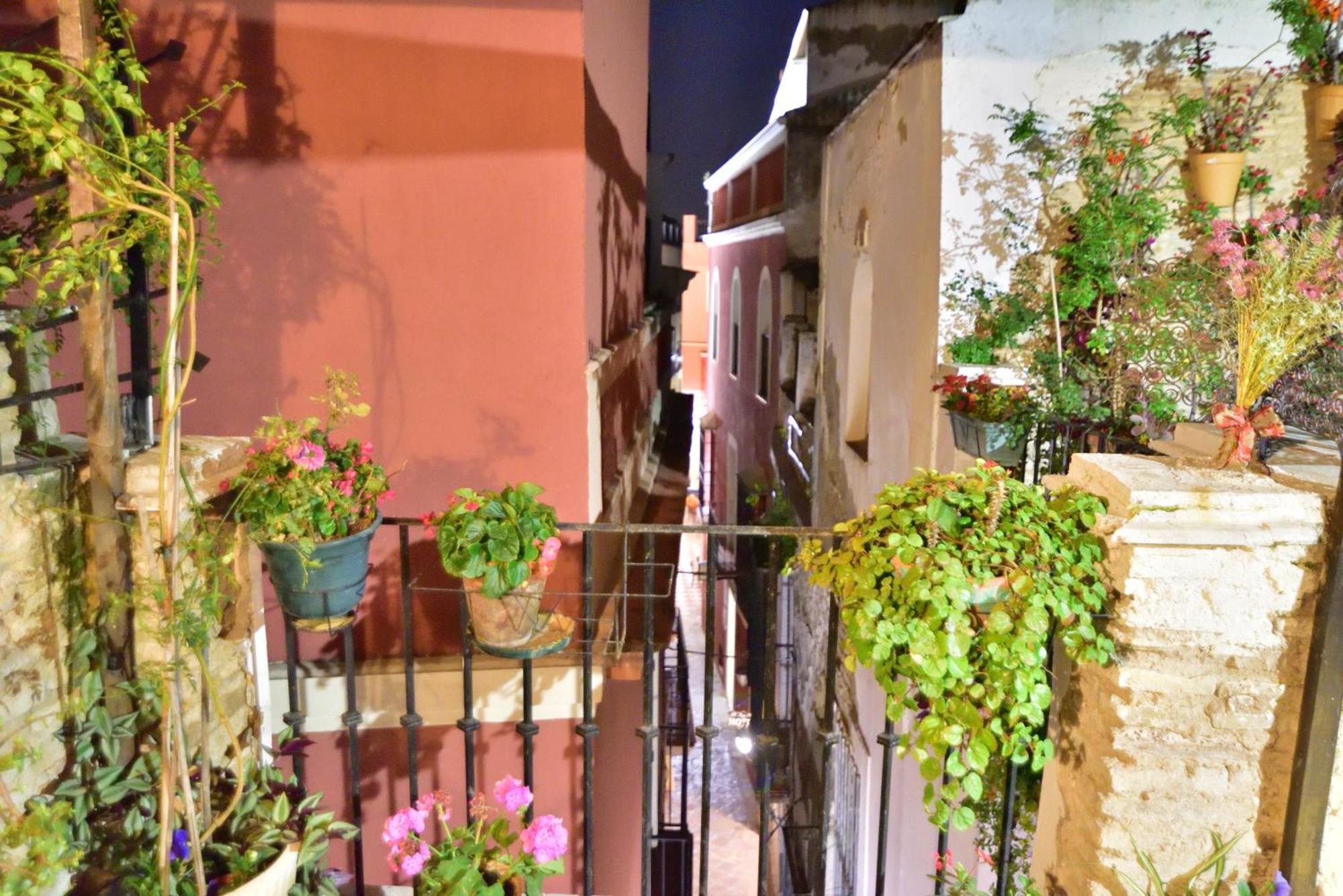 Casa Tenorio Barrio De Santa Cruz Siviglia Esterno foto